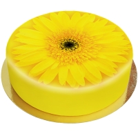 Gerbera Torte Gelb